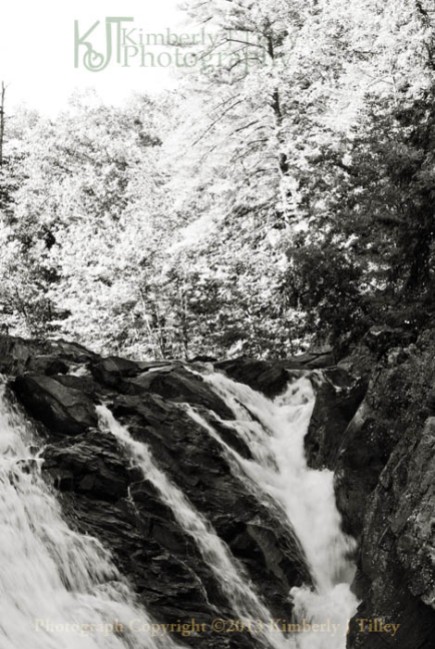 Waterfall, Summer, Landscape, Trees, black and white, Kimberly J Tilley
