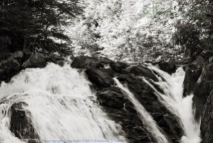 waterfall, new hampshire, black and white, summer, trees, landscape, Kimberly J Tilley