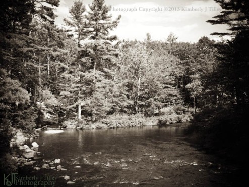 river, trees, landscape, summer, new hampshire, Kimberly J Tilley