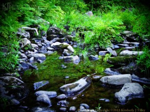 Summer, rocks, reflection, water, pool, plants, green, ferns, grass, Kimberly J Tilley, new hampshire