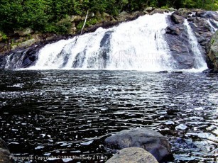 waterfall, river, rocks, stones, summer, landscape, trees, new hampshire, bristol, Kimberly J Tilley